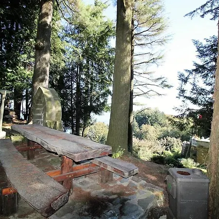 Alpino Immerso Nel Bosco *
